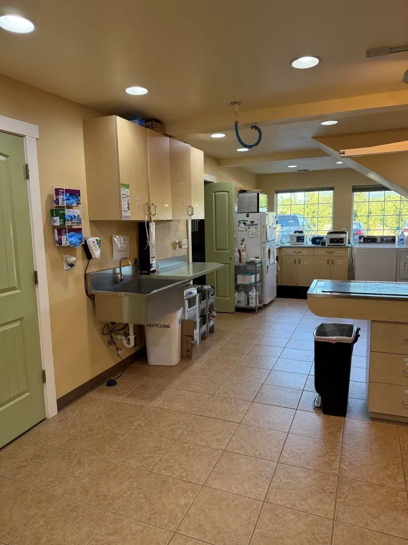 The in-house lab and treatment bench