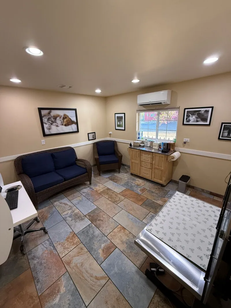 A second exam room with a navy sofa, framed pet photos and a window