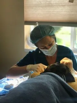 A technician performing a dental cleaning