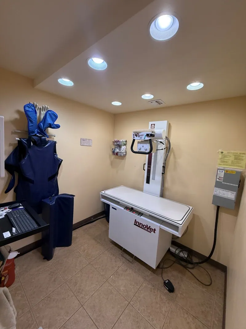 The digital x-ray room