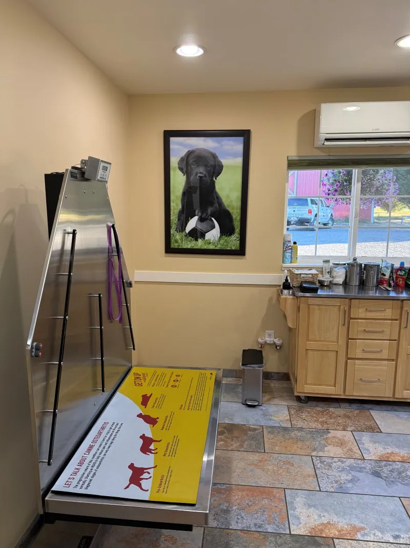 An exam room with a padded table, cabinets and a window onto the fields
