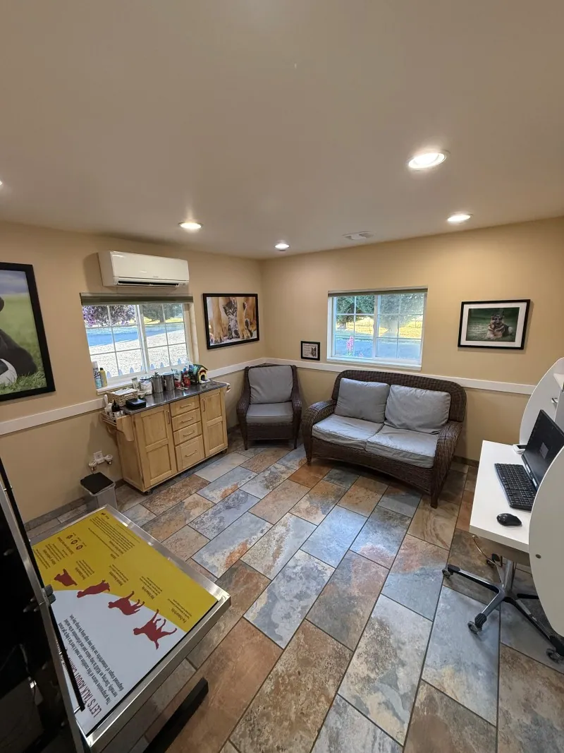 An exam room furnished like a living room, with a sofa, chairs and a slate floor
