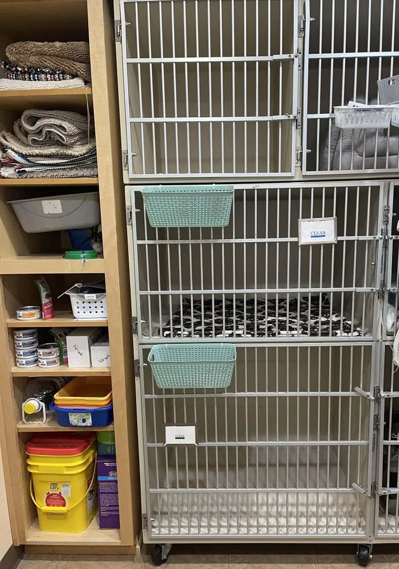 Recovery cages and supply shelves