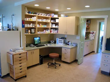 The in-house pharmacy and treatment area