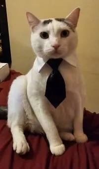 Oliver