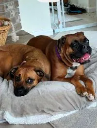 Shelby and Stormy