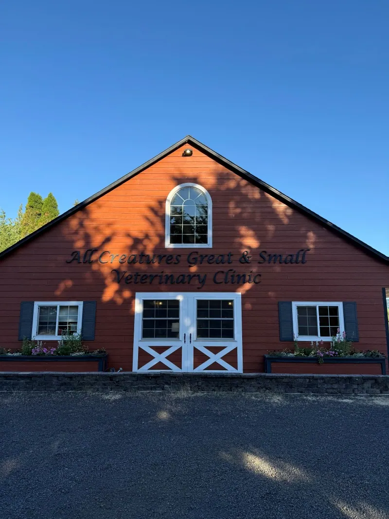 The red barn that houses All Creatures Great & Small Veterinary Clinic, white trim and a hayloft window under a blue sky