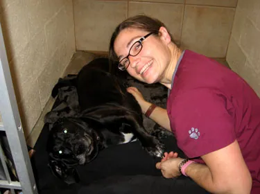 A technician sitting with two dogs on padded bedding in a kennel